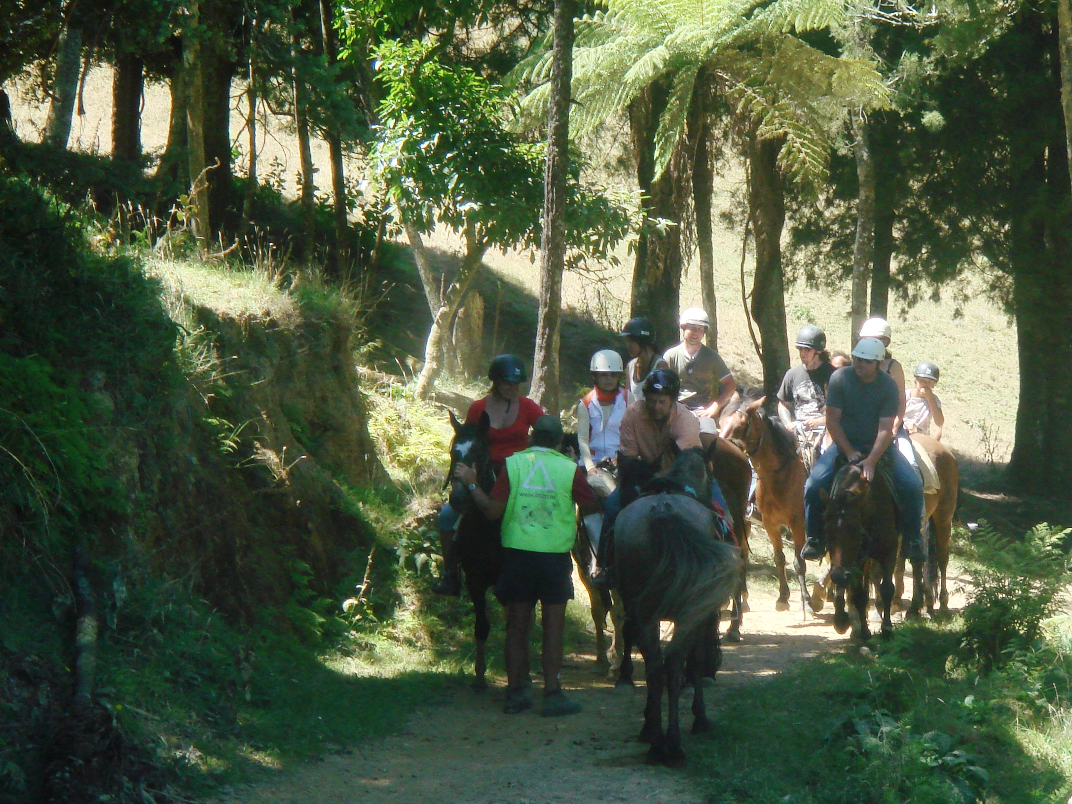 Karamu Trail Track