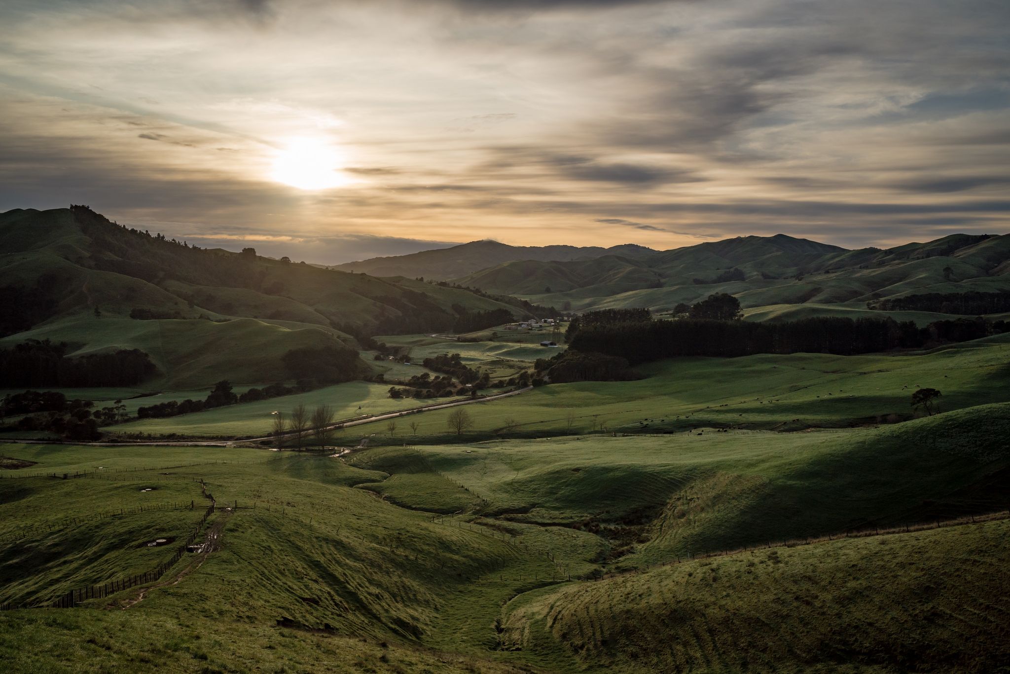 Matahuru Valley Walk
