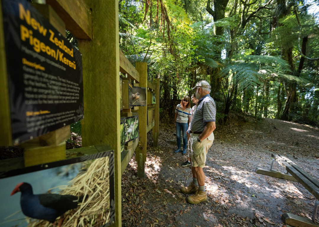 Sanctuary Mountain Maungatautari