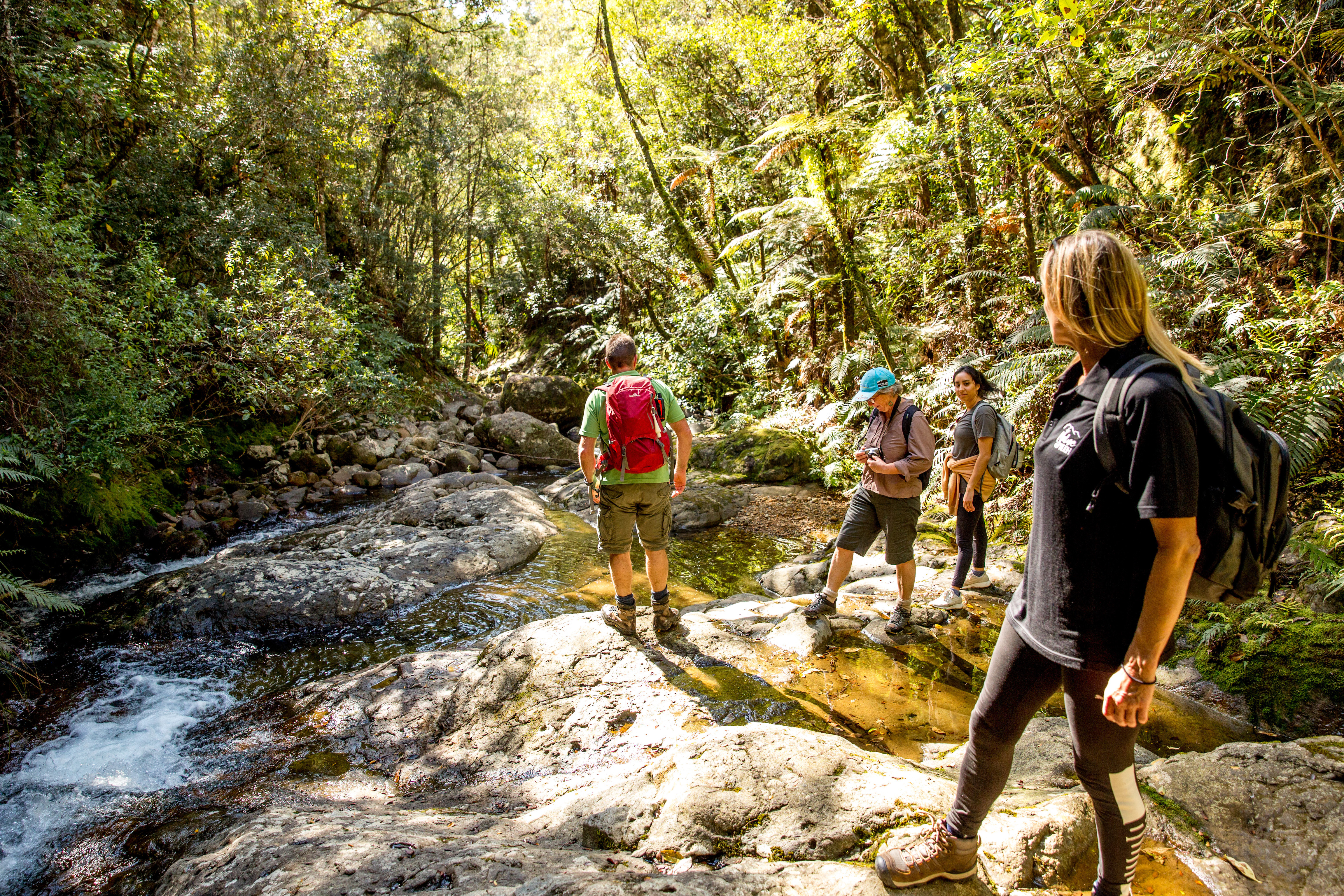 Nature & Nosh Tours