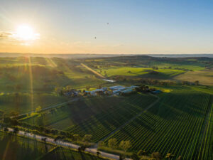 Barossa Valley Bird View