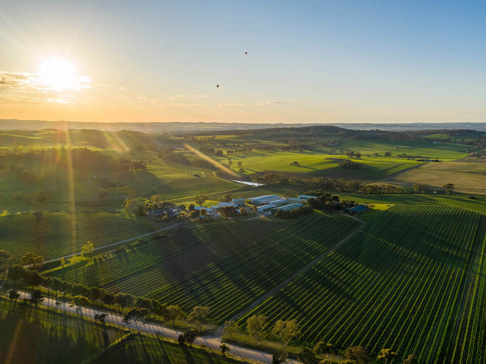 Barossa Valley Bird View