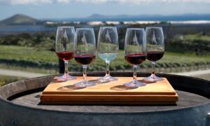 Barossa Valley Wines