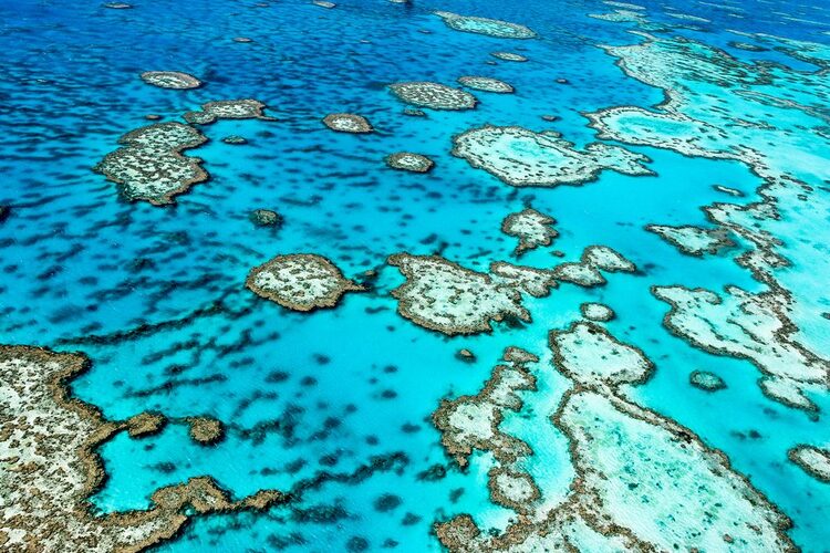 Barrier Reef