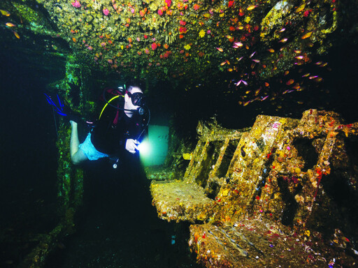 Brisbane Wreck 