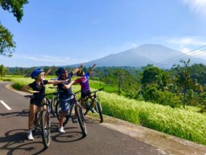 Cycle the Verdant Rice