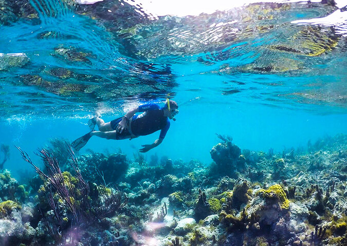Diving & Snorkeling
