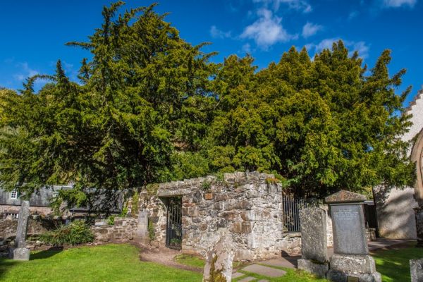 Glen Lyon & Fortingall Yew