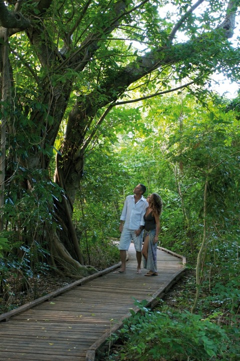 Green Island