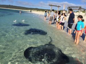 Hamelin Bay