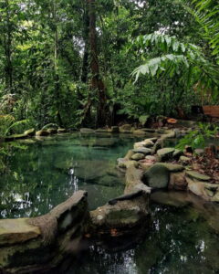 Hidden Jungle Hot Springs