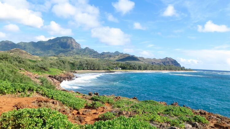 Kapaa