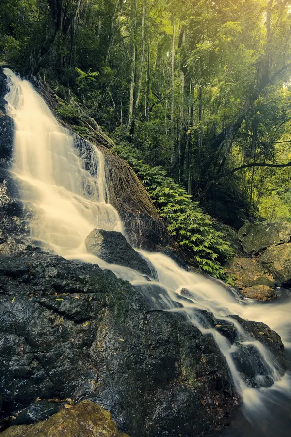 Kondalilla National Park