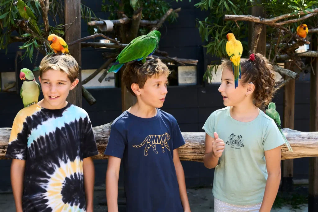 Maleny Botanic Gardens & Bird World