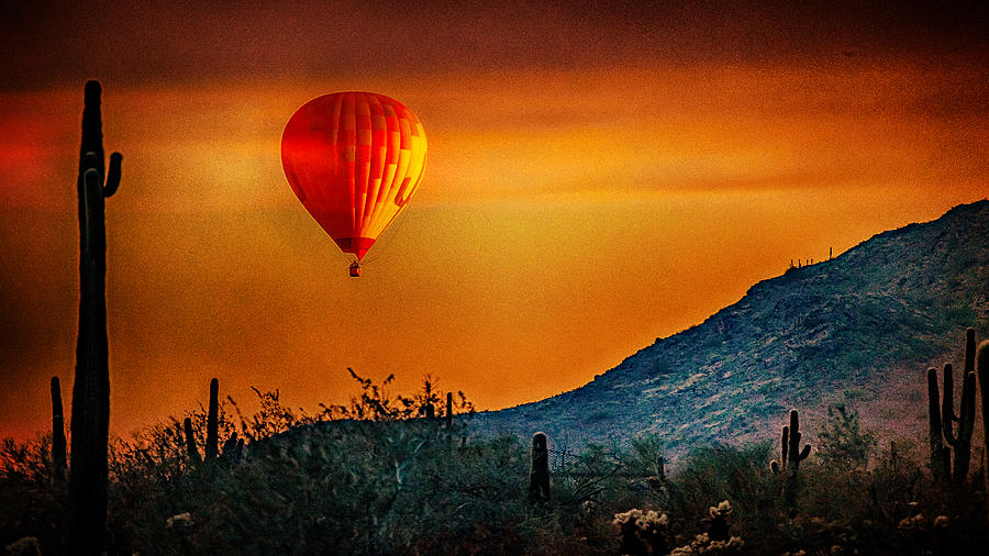 Outdoor Adventures in Scottsdale photo