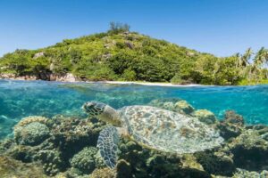 Sainte Anne Marine National Park