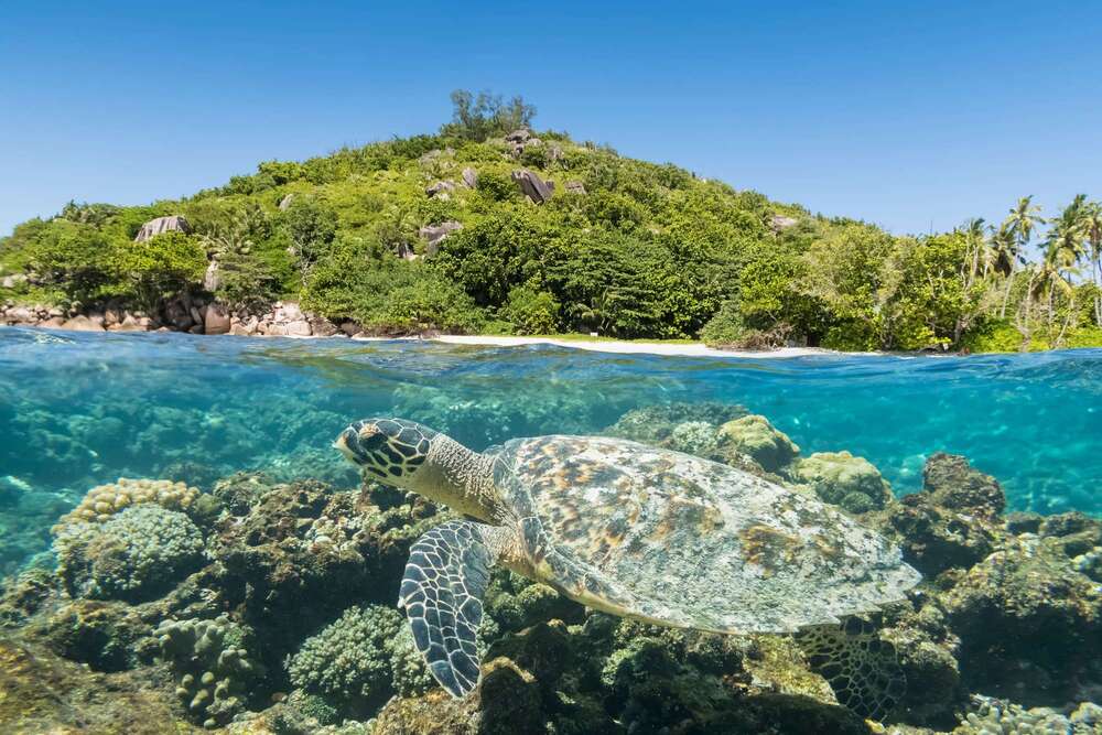 Sainte Anne Marine National Park