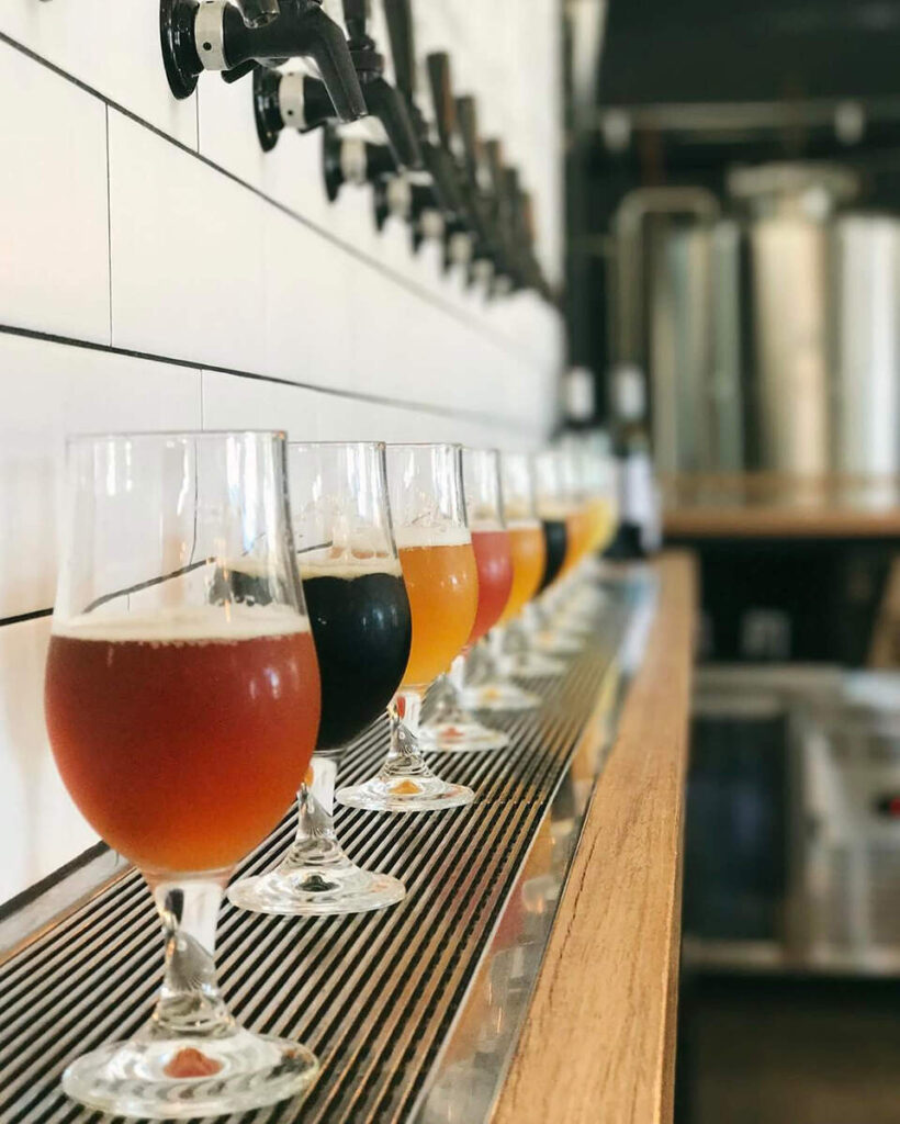 Sunshine Coast Craft-Beer 