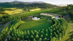 TarraWarra Estate