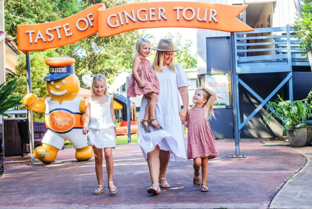 The Ginger Factory